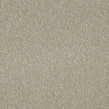 Cormar Carpets Sensation Range | Taylors on the High Street